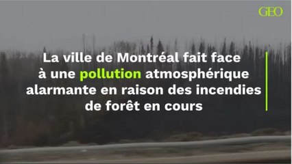 La ville de Montréal fait face à une pollution atmosphérique alarmante en raison des incendies de forêt en cours
