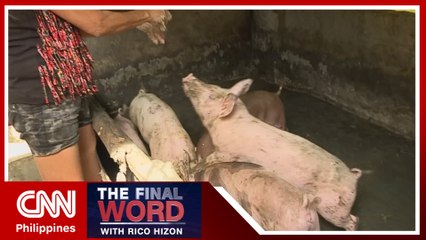 DA finds ways to boost hog production amid ASF threat