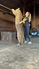 Owner Hugs Her Pet Puma
