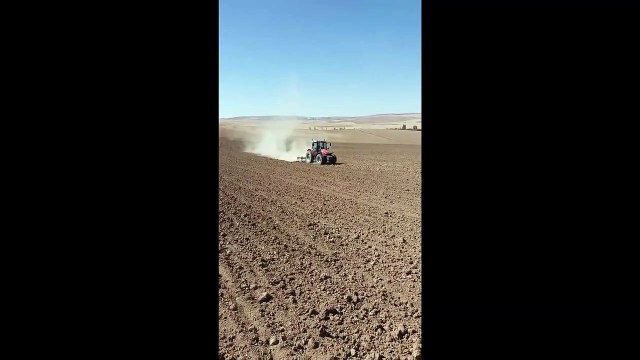 Massey Ferguson 5450