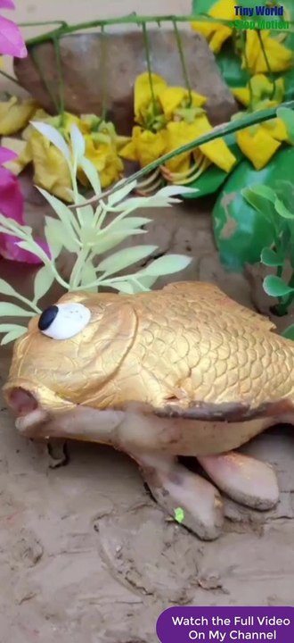 Fish Aquarium|| Colourful Fish|| #fish #aquarium #like #share #status #youtubeshorts #shorts