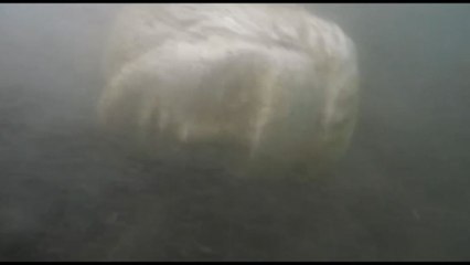 Scoperto reperto in fondali Lago Nemi, forse legato a Navi di Caligola