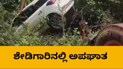 ಶೃಂಗೇರಿ:ಅಡ್ಡ ಬಂದ ಜಿಂಕೆಯನ್ನು ತಪ್ಪಿಸಲು ಹೋಗಿ ಗುಂಡಿಗೆ ಬಿದ್ದ ಕಾರು