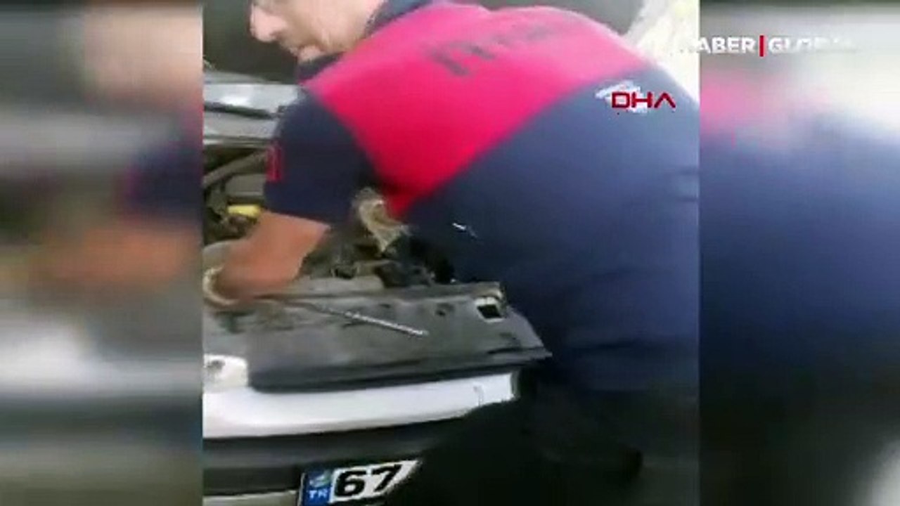Gözlerine inanamadılar, otomobilin motor kısmından 2 metre uzunluğunda yılan çıktı