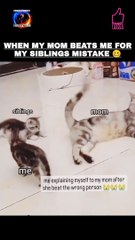 When my mom beats me for my siblings mistake  New funniest memes 2023 