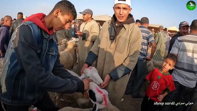 اليوم من سوق أربعاء الفقيه بن صالح مع ثمن حولي عيد الأضحى بتاريخ 26 يونيو 2023