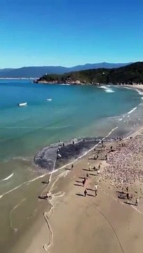 Praia de Naufragados, em Florianópolis, tem pesca histórica de tainha nesta segunda-feira