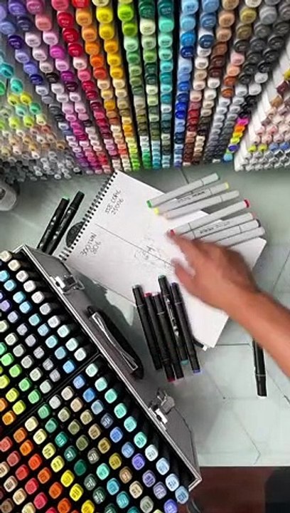 Les 300 twinmarkers en test