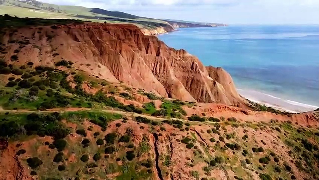 Er hatte nie eine Chance -  Rücksichtslos gefilmte Tierkämpfe
