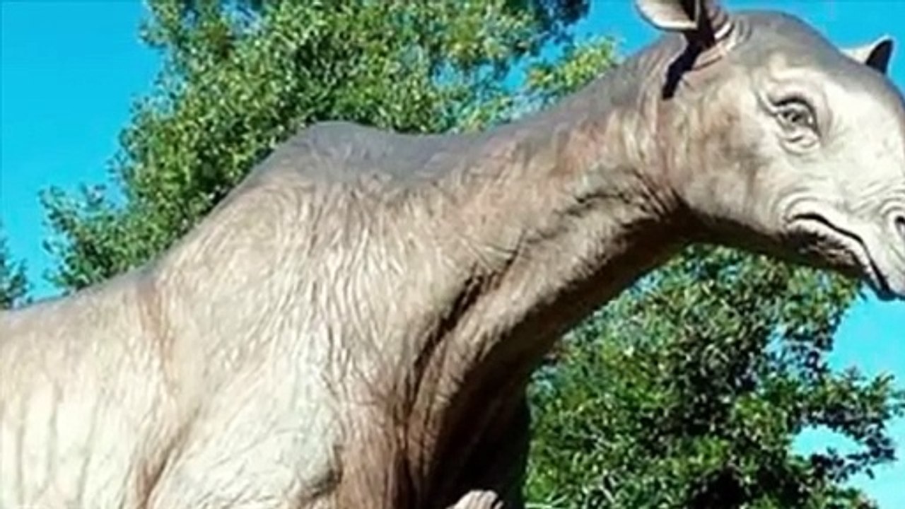 5 der größten Tiere, die jemals den Planeten durchstreift haben!