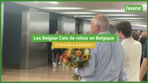 Les Belgian Cats arrivent en Belgique