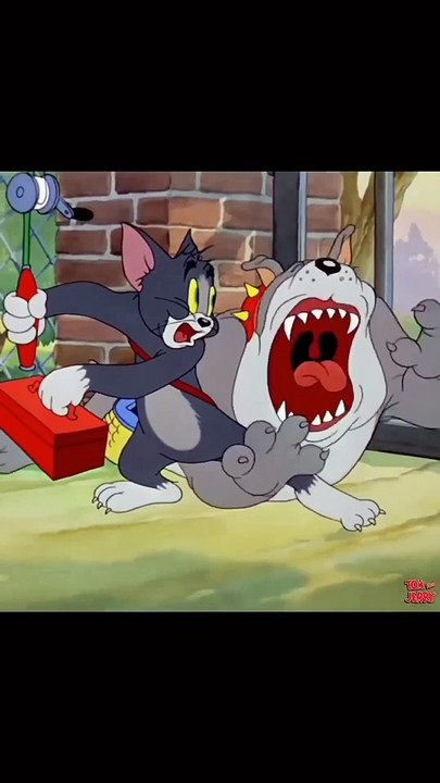 Dog...(Tom and Jerry)