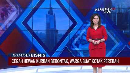 Panitia Penyembelihan Ciptakan Kotak Perebah Hewan Kurban Supaya Tak Berontak!