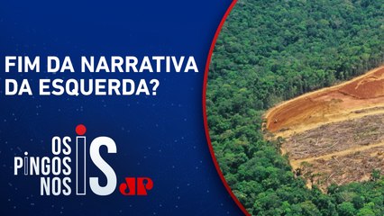 ONU atribui desmatamento na Amazônia ao narcotráfico