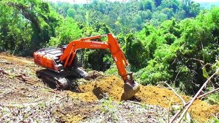 Clearing the Farm and Creating the Hitachi 210 MF Palm Terrace