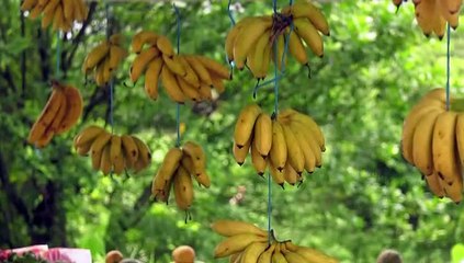 CRIME, BAD ROADS HINDERING SANGRE GRANDE