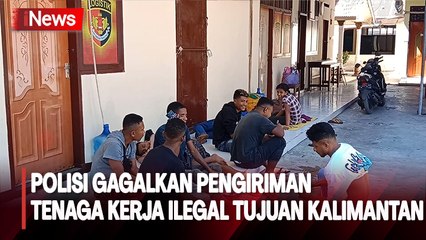 Pengiriman 18 Tenaga Kerja Ilegal Asal Sikka Digagalkan Polisi