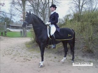 JOERIS - KWPN NOIR - MARS 2008 - COMPIEGNE