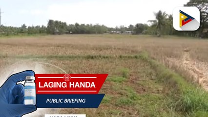 Panayam kay DOST-PAGASA Senior Weather Specialist Rusy Abastillas hinggil sa pagdeklara ng El Niño sa buwan ng Hulyo