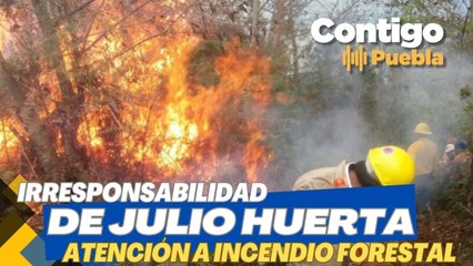 SEGOB #Puebla ignoró incendio forestal en #Zacatlán