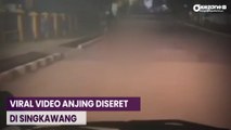 OKEFLASH: Viral Video Anjing Diseret di Singkawang, Ternyata Hasil Curian