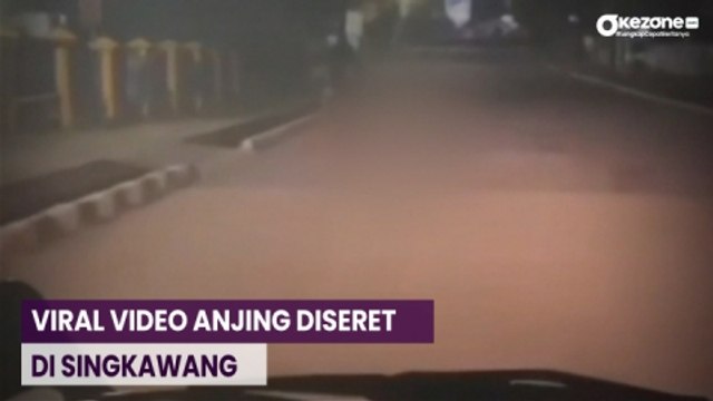 OKEFLASH: Viral Video Anjing Diseret di Singkawang, Ternyata Hasil Curian