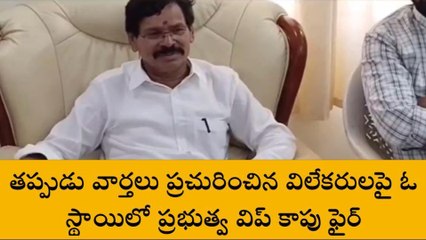 నాపై తప్పుడు వార్తలు రాస్తే సహించేది లేదు - ప్రభుత్వ విప్ కాపు