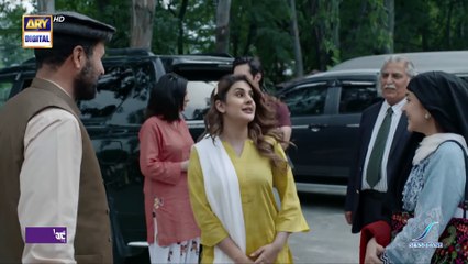 Tumhein Pushto Nahi Aati, Sharam Karo... #SinfeAahan Episode 6 - ARY Digital Drama