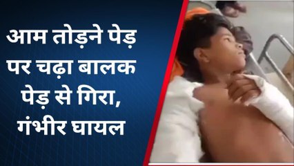 शिवपुरी: पेड़ पर से गिरा 14 वर्षीय बालक, शरीर पर आई गंभीर चोट