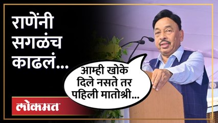 Narayan Rane | आम्ही आणलेल्या पिशव्या तुम्ही का घेतल्या, राणेंचा ठाकरेंना सवाल.| BJP Konkan Melava