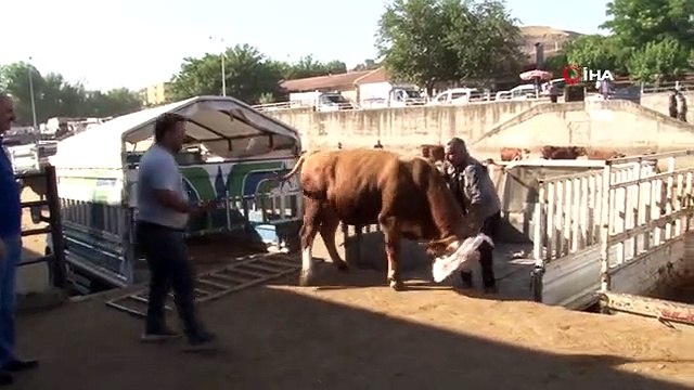 Ölüye kurban kesilir mi? Ölüye kurban ne zaman kesilir? Ölüye Kurban Bayramında kurban kesilir mi? Ölüye kurban kesmek caiz midir?