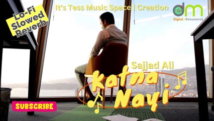 Katna Nayi - Sajjad Ali (LoFi - Reverb)