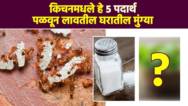 घरात मुंग्या कधीच होणार नाहीत | How to Get Rid of Ants | Natural Ways to Get Rid of Ants | RI3