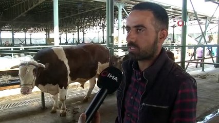 Mezarlığa abdestsiz girilir mi? Abdestsiz mezarlığa gidilir mi? Mezarlık ziyareti abdestsiz yapılır mı? Kabir ziyaretinde abdest alınır mı?