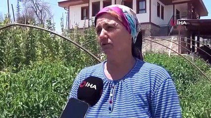 La première excitation de l'Aïd al-Adha dans de nouvelles maisons du quartier qui a été détruite dans l'incendie historique de Manavgat