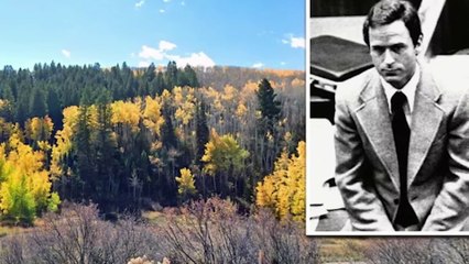 Ted Bundy - The Serial Killer  (Documentary)