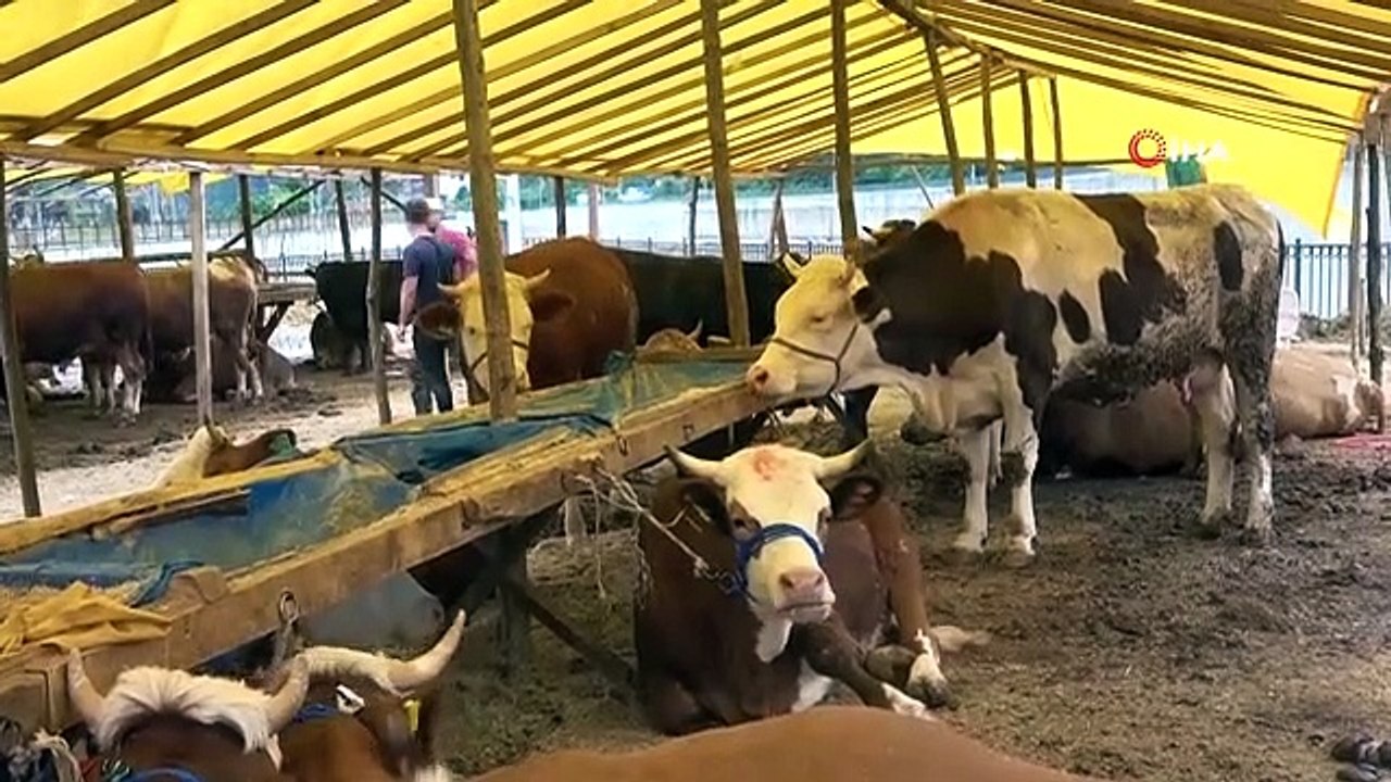 Ölüye kurban kesilir mi? Ölüye kurban ne zaman kesilir? Ölüye Kurban Bayramında kurban kesilir mi? Ölüye kurban kesmek caiz midir?