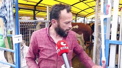 İstanbul'daki Kurbanlık Satışları Durgun... Satıcıya Göre Kurbanlıklar Ucuza Gidiyor, Alıcıya Göre Çok Pahalı