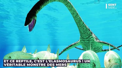 Un incroyable fossile de monstre marin préhistorique dévoilé après le passage d’un cyclone