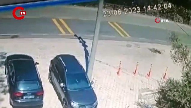 Marmaris'teki orman yangınının arkasından cinayet çıkmıştı Ön otopsi sonucu belli oldu