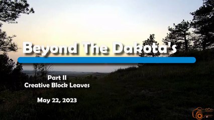 Dakota's Creative Block Broken_ Watch What Happens Next!