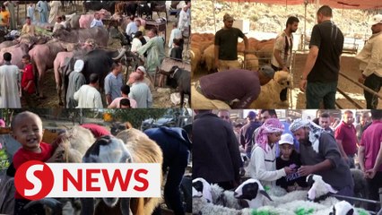 Inflation bites as Muslims prepare to celebrate Eid al-Adha