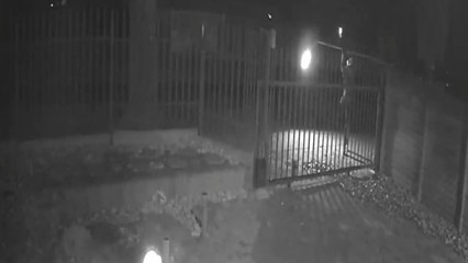 'Never saw that coming!' - Thief steals a streetlight in South Africa