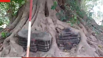 खगड़िया: पीपल पेड़ के नीचे कसौटी पत्थर पर बना है भगवान बुद्ध की प्रतिमा, जानिए इसकी ...