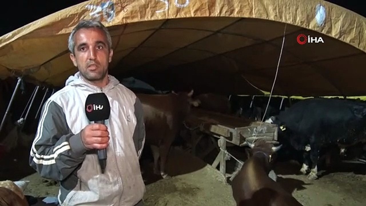 Ankara'da kurban pazarlarında gece zor geçiyor