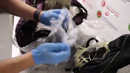 İstanbul Havalimanı'nda 93 kilo insan saçı ele geçirildi