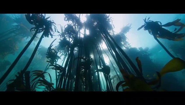 Las guardianas del planeta Tráiler VOSE