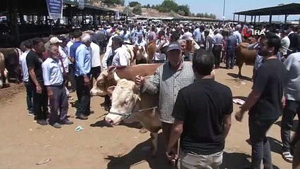 Malatya'da Arefe Günü Canlı Hayvan Pazarı'nda Yoğunluk