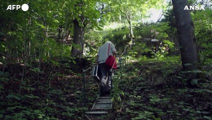 Scoperte in Francia le piu' antiche incisioni rupestri dei Neanderthal