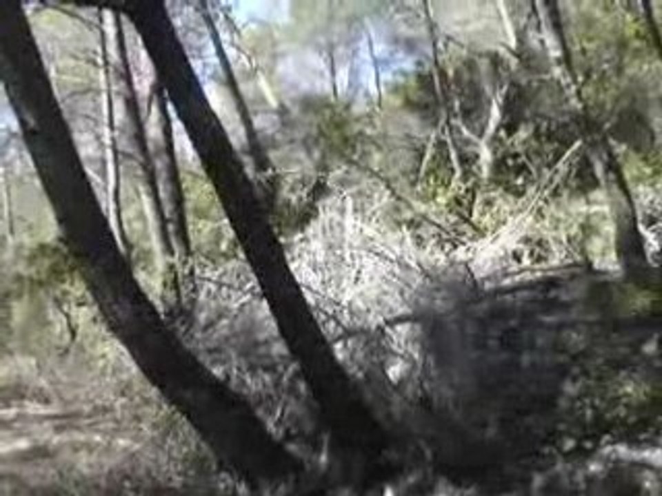 Solliès Toucas 24 mars 2008 restanques 2